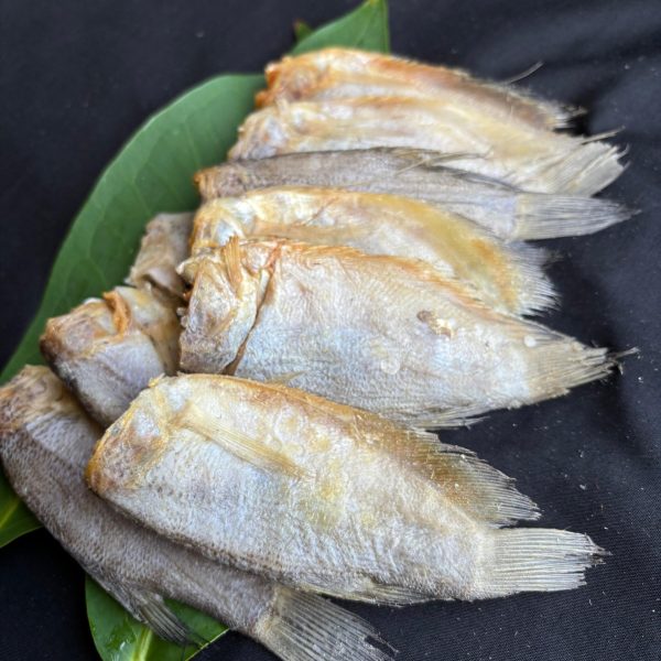 WhatsApp Image 2025-12-17 at 10.02.14