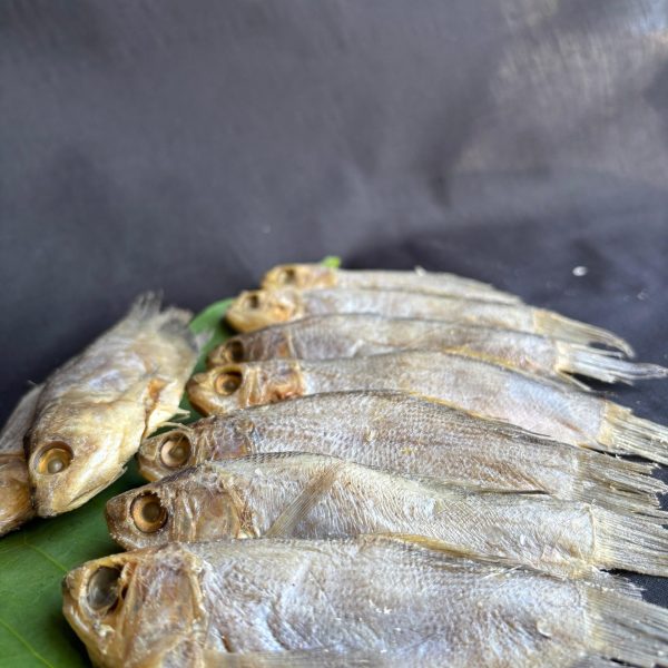 WhatsApp Image 2025-12-17 at 10.02.21 (2)