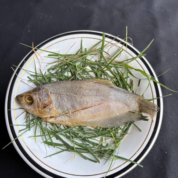 WhatsApp Image 2025-12-17 at 10.03.03