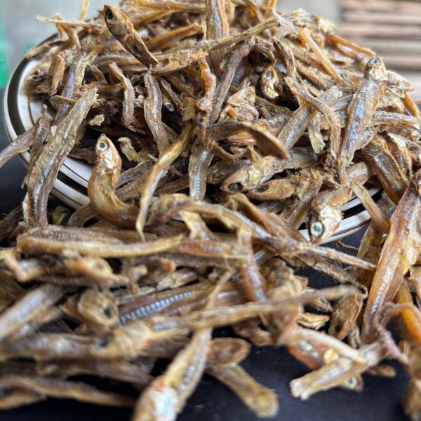 WhatsApp Image 2025-12-17 at 10.03.28