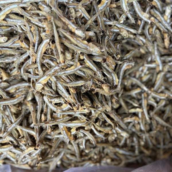 WhatsApp Image 2025-12-17 at 10.05.15