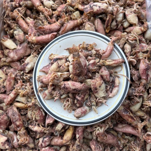 WhatsApp Image 2025-12-17 at 10.05.18 (1)