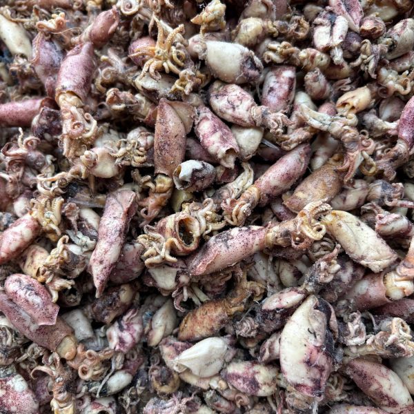 WhatsApp Image 2025-12-17 at 10.05.18 (2)