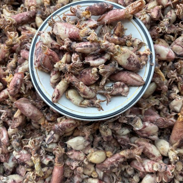 WhatsApp Image 2025-12-17 at 10.05.18 (3)