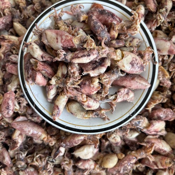 WhatsApp Image 2025-12-17 at 10.05.19